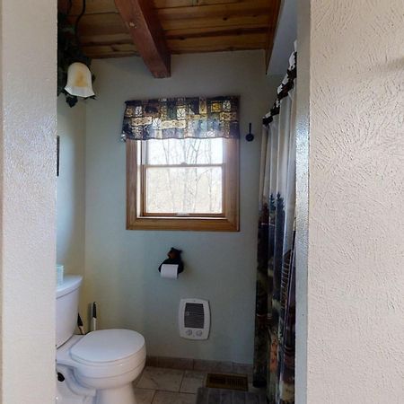 Bear Cave Villa Gatlinburg Ngoại thất bức ảnh